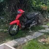 ngquocquy4