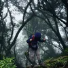 nhatlc21
