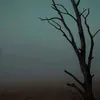 a_5o5.s