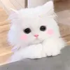 hahihi929