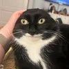 maaaeae
