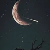funnyday436