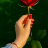saima85320