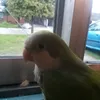 emilio_4810