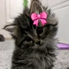 inaya.zz0