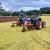 user8127076293004