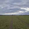 urbexbrnocity
