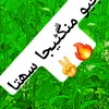 user99007371249404