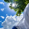 shreya.islam01