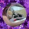 shea_secret.11