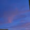 stei_cy5