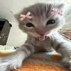 izzybug46