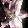 has_na0