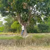 didarulalam137