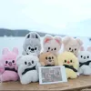 skz143sofi