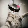 gatito83301