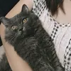 wafflenmunchkin