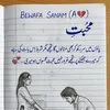 aliraza48769