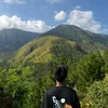 bayurealmee