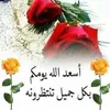 hassan.filali5