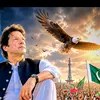 muhammaddanish0744