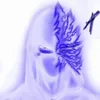 gustsvo051