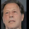 salman.afridi.sal2
