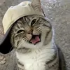 queensyazhr6