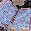 user9810269358528