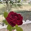 om.malak6695