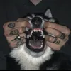 tabipaws