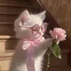 jooiceyes