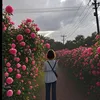 li.su.dudu