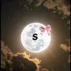 sarahsag6