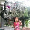 dung33286