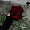 fatimechiekh0