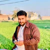 choudhary3371