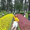 siti.nurmanisah
