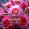 user71041213381830
