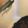 shrairfryer