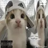 stasn24