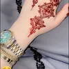 rabab3764