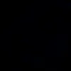reis_6531