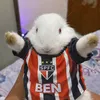 lima.bruno64