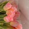 user5436125331169