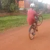 alejandroaraujo355