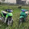 trangachien7