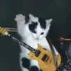 pansirdjfl3