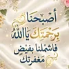 abo.khaled684