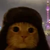 amelie_201111